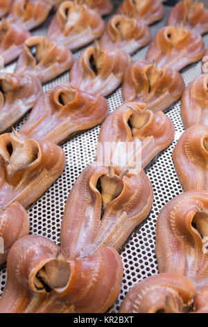 Sun dried fishes from local market, Thailand. Stock Photo