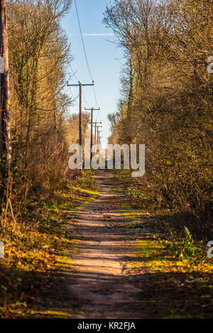 Flitch Way public right of way path footpath bridleway cycle path on track bed of Braintree to Bishop's Stortford railway line. Autumn colours Stock Photo