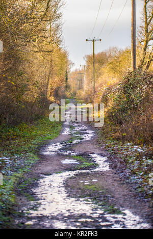 Flitch Way public right of way path footpath bridleway cycle path on track bed of Braintree to Bishop's Stortford railway line. Autumn colours Stock Photo