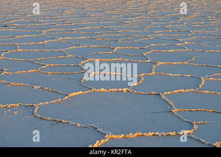 Honeycomb structure on the salt lake at sunrise, Salar de Uyuni, Uyuni, Potosi, Bolivia Stock Photo