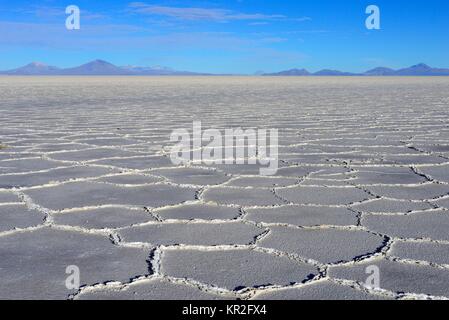 Honeycomb structure on the salt lake, Salar de Uyuni, Uyuni, Potosi, Bolivia Stock Photo