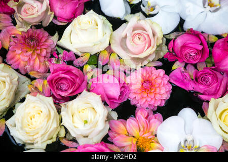 Floral background in pink and white Stock Photo