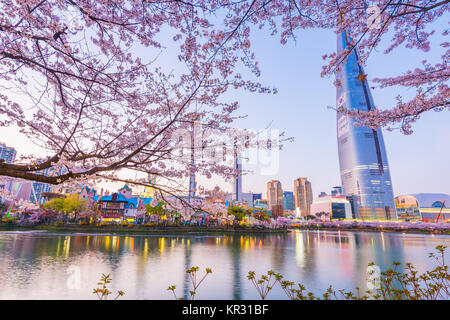 SEOUL, KOREA - APRIL 7, 2016: Lotte World Seokchon Lake park at night and cherry blossom of Spring in Seoul, South Korea on April 7, 2016 Stock Photo