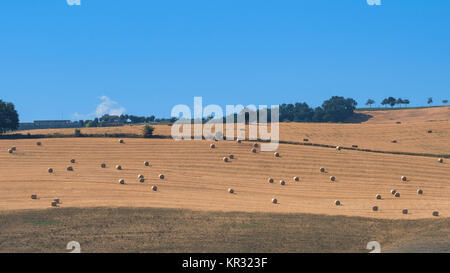 Landscape near Loreto Aprutino (Pescara, Abruzzi, Italy) at summer Stock Photo
