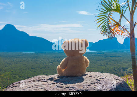 a doll bear sit on the rock for watching the beautiful scenery of the islands in the Andaman Sea. Stock Photo