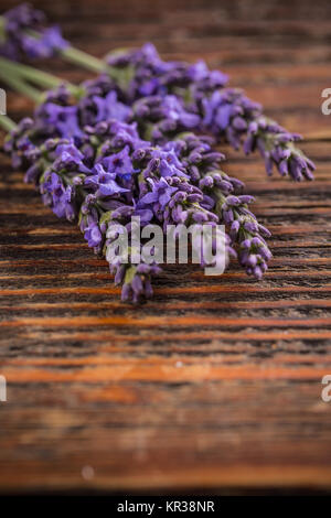 Bunch of lavender flowers Stock Photo