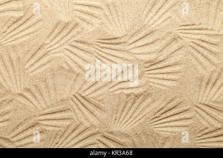 shell patterns on sandy beach Stock Photo