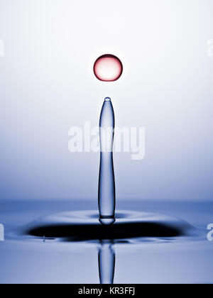 Water Drops Captured before Collision. Macro, Blue backround, Red Drop Stock Photo