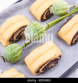 Raw Quick Poppy Seed Rolls Stock Photo