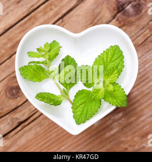 homeopathy and cooking with medicinal herbs,lemon balm Stock Photo