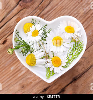 homeopathy and cooking with herbs,camomile Stock Photo