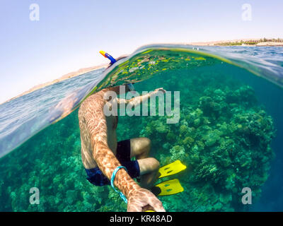 Snorkel swims in shallow water, Red Sea, Egypt Stock Photo