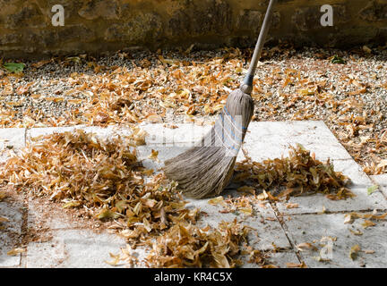 Pile of leaves with a broom being swept up Stock Photo