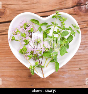 homeopathy and cooking with medicinal herbs,marjoram Stock Photo