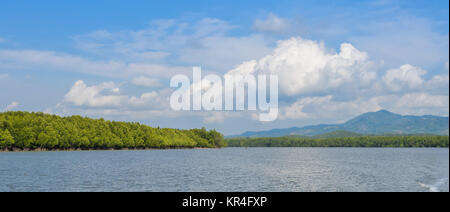 Mangrove forest in Phang Nga Bay National Park, Thailand Stock Photo