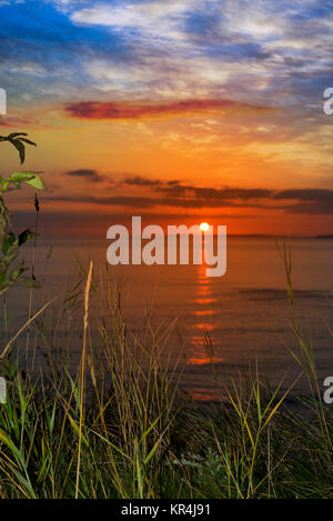 sunset over loop head with wild thistles Stock Photo