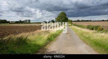 A narrow country lane runs through fields and farmland at Great Gidding, on the border of Huntingdonshire and Northamptonshire, in England's Midlands. Stock Photo