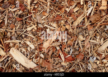 Coarse wood chippings background Stock Photo