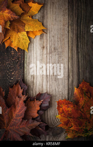 Colorful autumnal maple leaves on the wooden table vertical Stock Photo