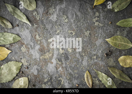 Leaves of the tree of the laurel on the stone table Stock Photo