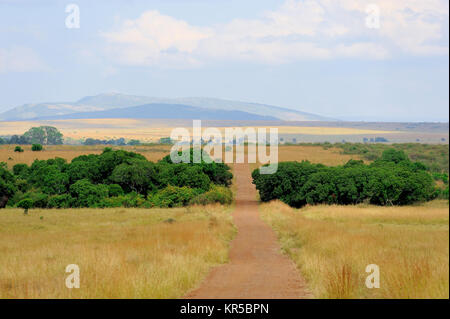 Savannah landscape in the National park of Kenya, Africa Stock Photo