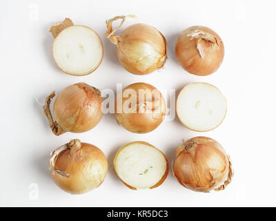 Onion seamless pattern isolated on white Stock Photo