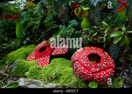 Corpse flower was made of interlocking plastic bricks toy (Selective focus at the front flower). Scientific name is Rafflesia Arnoldii, Rafflesia kerrii. World's Largest Flower. Stock Photo