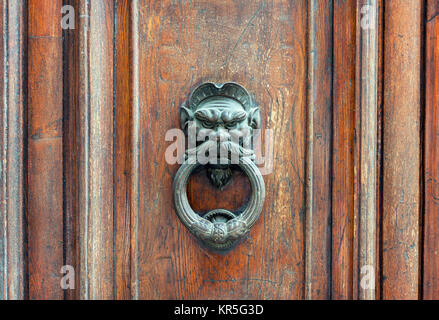 Iron lion doorknob on wooden door Stock Photo