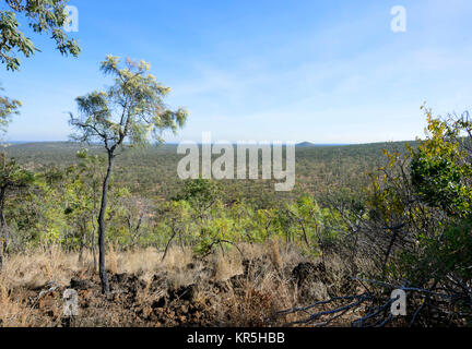 View from the top of Kalkani Crater on the Circuit Track or Rim Walk, Undara Volcanic National Park, Queensland, QLD, Australia Stock Photo