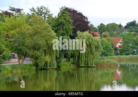 the burgsee in bad salzungen Stock Photo