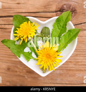 homeopathy and cooking with herbs,dandelions Stock Photo