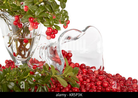 Fresh cowberry with green leaves Stock Photo