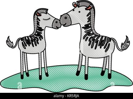 zebra couple over grass in colored crayon silhouette Stock Vector