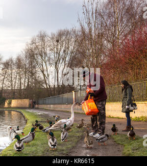 Kidderminster, UK. 19th December, 2017. UK weather: Cheeky young swan delves into a man's shopping bag. The man offers his fresh breakfast loaf in an act of kindness as he returns home from shopping at a local supermarket on a cold, overcast day. Credit: Lee Hudson/Alamy Live News Stock Photo