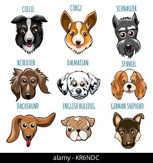 Set of Various Dog Head. Spaniel, bulldog, retriever, dalmatian and other breed. Vector illustartion isolated on white. Stock Vector