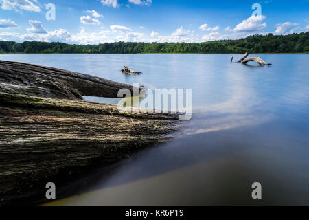fallen trees on the edge of a lake with reflection of the beautiful clouds in the water Stock Photo