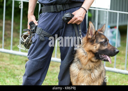 Police dog. Policeman with a german shepherd on duty. Stock Photo