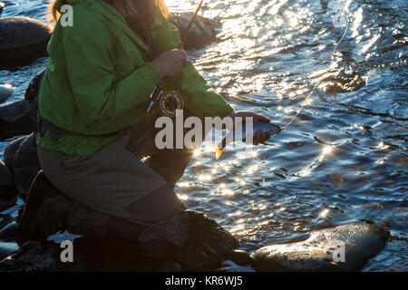 High angle view of fisherwoman kneeling on rock on riverbed, holding fishing rod and freshly caught trout. Stock Photo