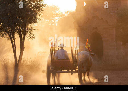 Rear view of man on ox cart driving past pagoda at sunset. Stock Photo