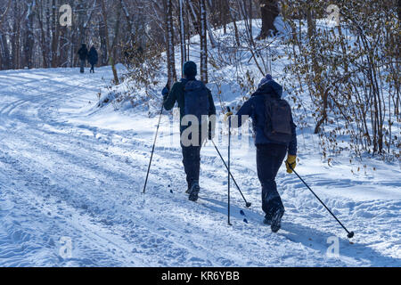 Montreal, CA - 17 December 2017: Cross country skiers in the Mont Royal Park in winter. Stock Photo