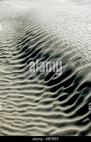 Details of wind drift patterns on large sand dune at Great Sand Hills south of Spectre, Saskatchewan Stock Photo