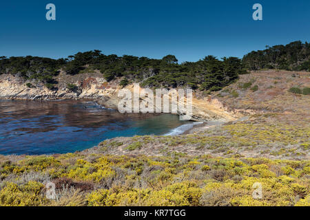 Point Lobos State Marine Reserve, California Stock Photo