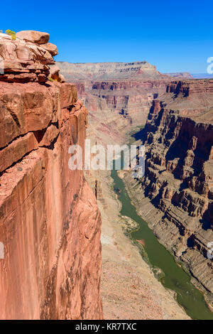 Toroweap Overlook, Grand Canyon National Park Arizona, USA.  It's 3000 feet above the Colorado River, straight drop down from the top. Stock Photo