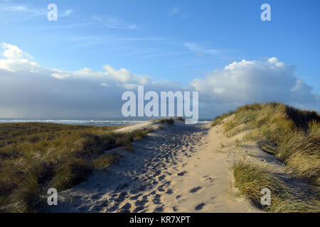 View between two dunes, grown with Beach Grass, on North Sea beach at isle Texel. Holland. Europe. Stock Photo