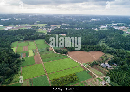 Shimousa Plateau, Tako Town, Katori District, Chiba Prefecture, Japan Stock Photo