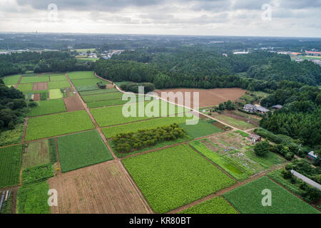 Shimousa Plateau, Tako Town, Katori District, Chiba Prefecture, Japan Stock Photo