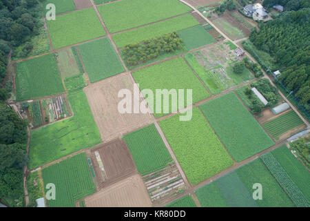 Shimousa Plateau, Tako Town, Katori District, Chiba Prefecture, Japan Stock Photo