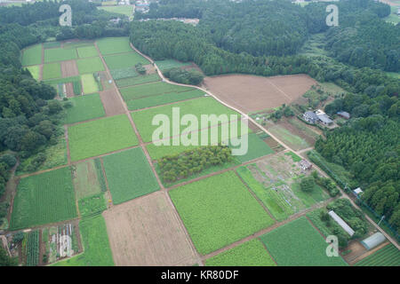 Shimousa Plateau, Tako Town, Katori District, Chiba Prefecture, Japan Stock Photo