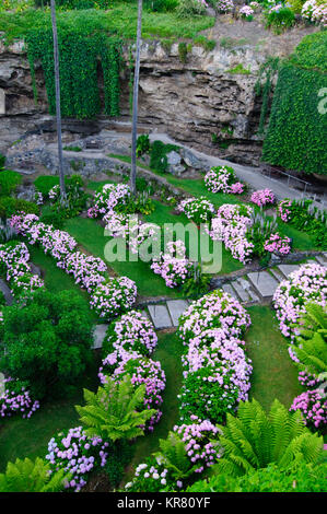 The Cave Gardens in Umpherston Sinkhole, Mount Gambier, South Australia, Australia Stock Photo