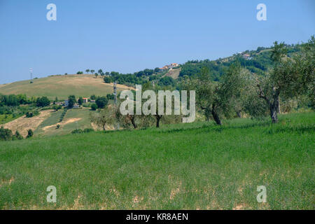 Rural landscape along the road from Sant'Egidio alla Vibrata to Civitella del Tronto (Abruzzi, Italy) at summer Stock Photo